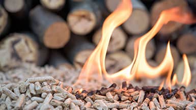 Erneuerbare Energie -Holz: Holzpellet-Feuer