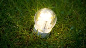 Strom sparen: Glühbirne im Gras